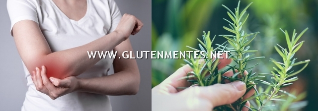 YiYa MSM & Rozmaring 100% natúrkrém - izomfájdalmak, izületi gyulladások kiegészítő kezelésére 100ml